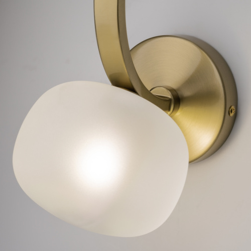 Настенный светильник (бра) Freya FR5444WL-02BS фото 8